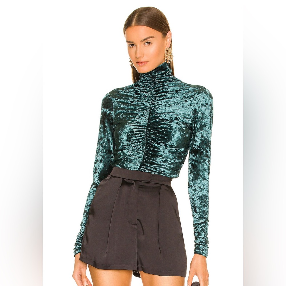 NWT Ronny Kobo Velvet Top